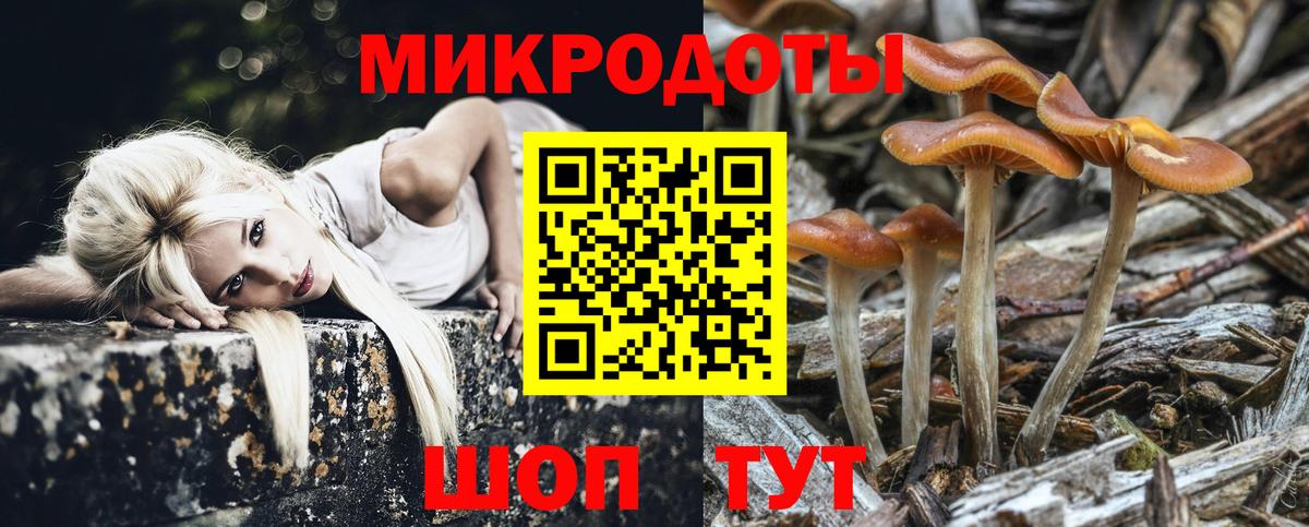 Псилоцибиновые грибы Magic Shrooms Саранск